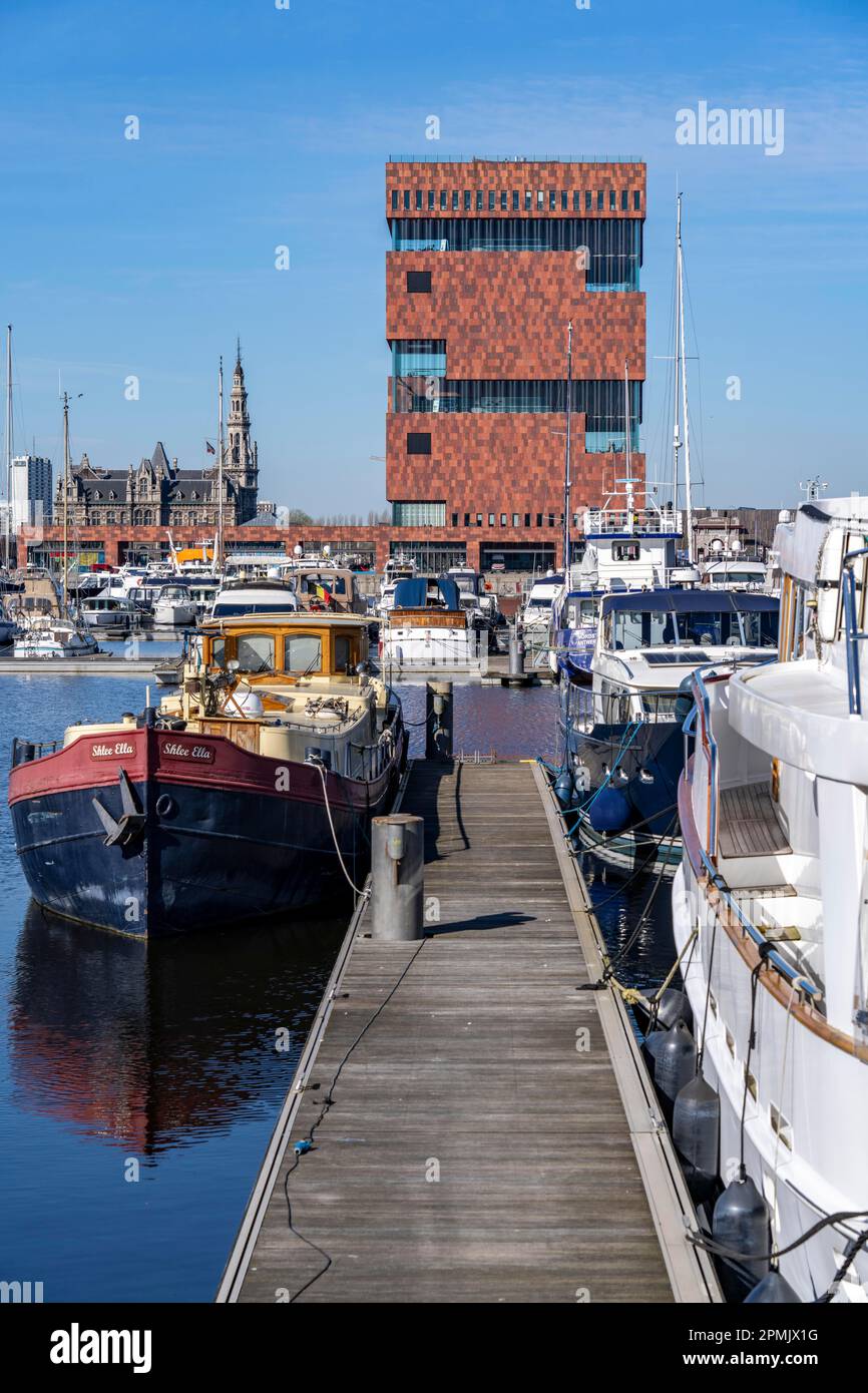 The MAS, Museum aan de Strom, Museum am Strom, Willemdok, Jachthaven Antwerpen Hafenbecken, Old Harbour District, Het Eilandje di Anversa, ex d Foto Stock