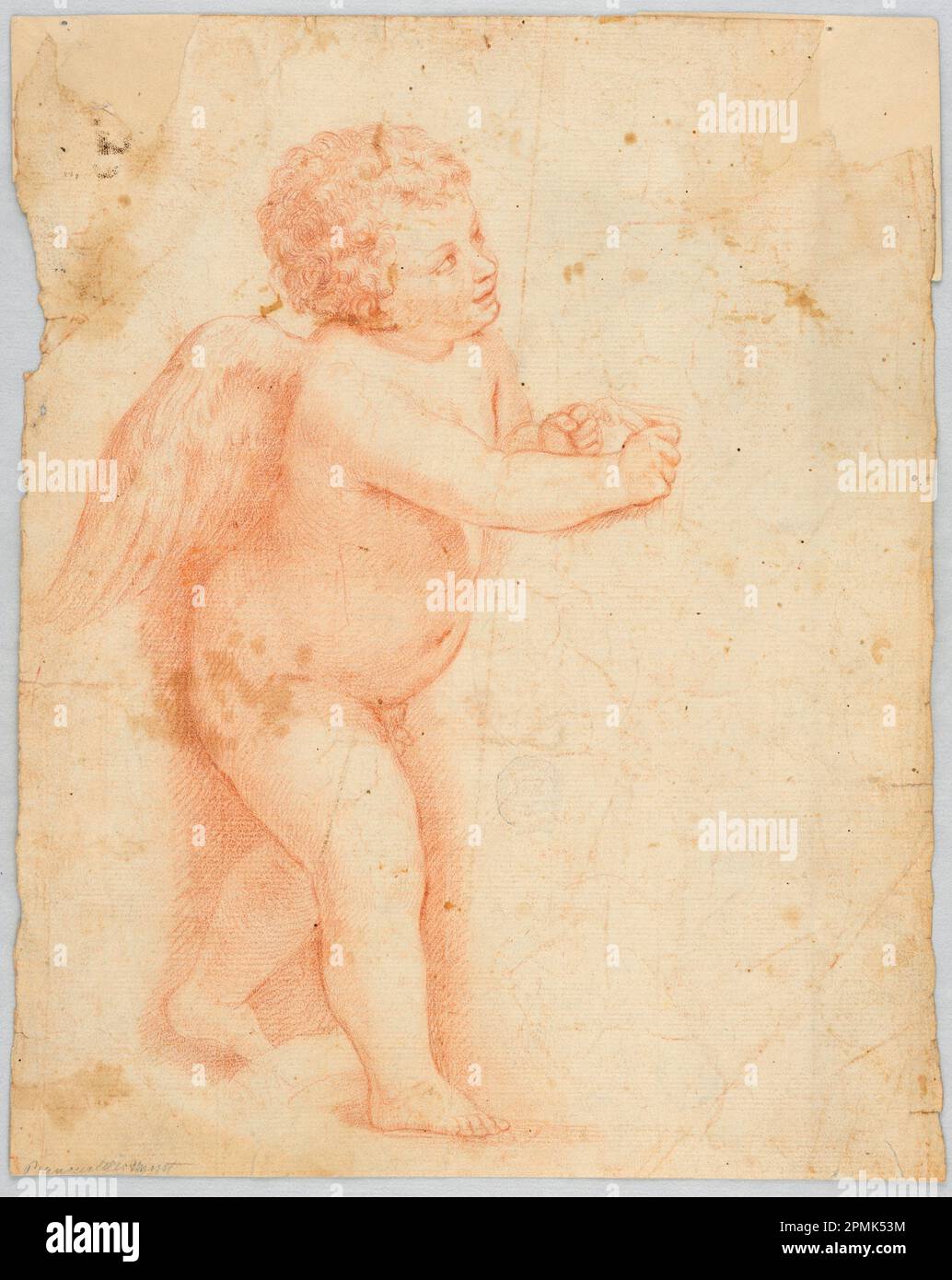 Disegno, Putto fare un Knot; Italia; gesso rosso su carta; 27,8 x 22,5 cm (10 15/16 x 8 7/8 pollici) Foto Stock