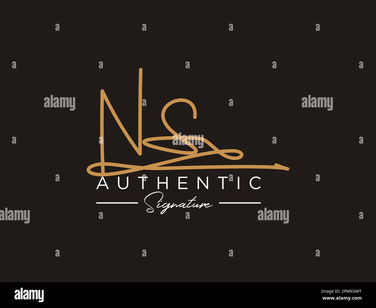 Vettore modello logo firma NS. Illustrazione Vettoriale