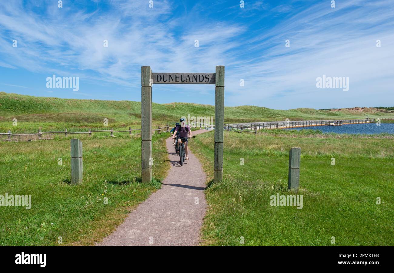 Coppia in bicicletta sul percorso Cavendish Dunelands. Il percorso attraversa un prato erboso fino a raggiungere una passerella galleggiante, sul lato delle dune di sabbia. Parco nazionale di PEI. Foto Stock