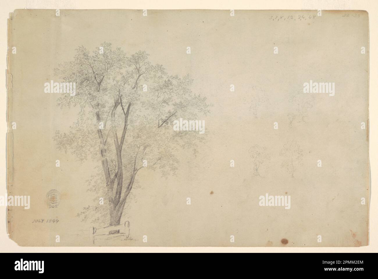 Disegno, alberi; Frederic Edwin Church (americano, 1826–1900); USA; pastello nero su carta; foglio: 25,7 x 38,9 cm (10 1/8 x 15 5/16 pollici) Foto Stock
