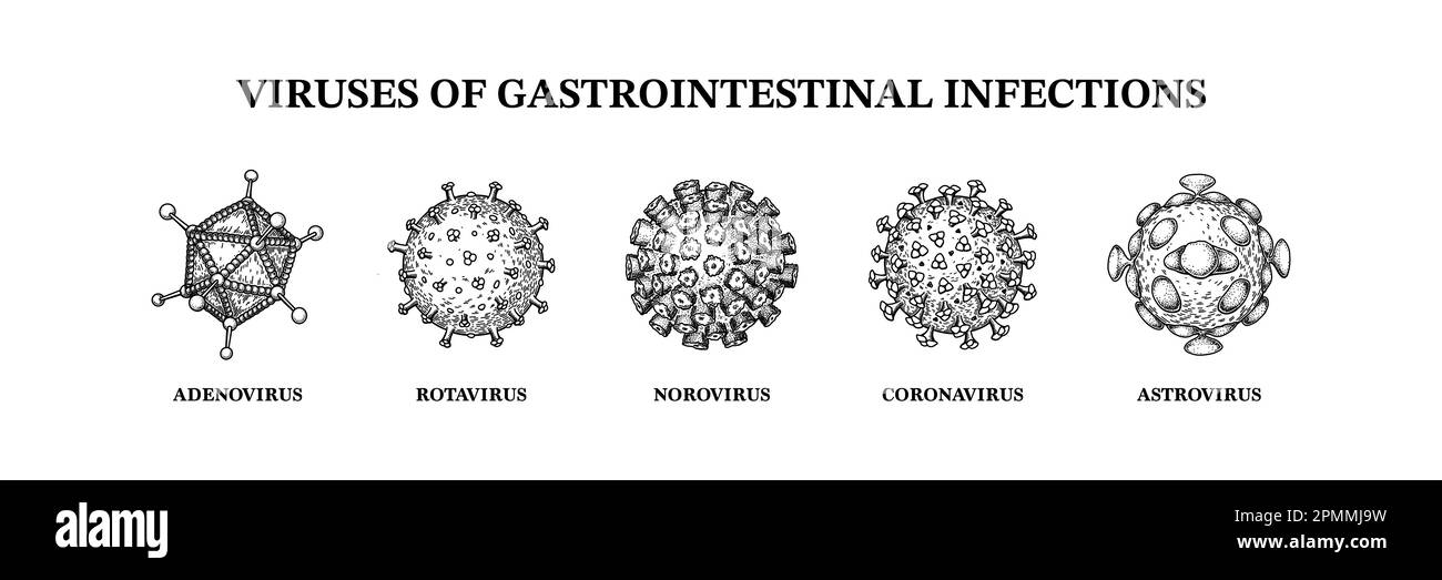 Virus di infezioni gastrointestinali. Set disegnato a mano di microrganismi. Illustrazione vettoriale scientifica nello stile di schizzo Illustrazione Vettoriale