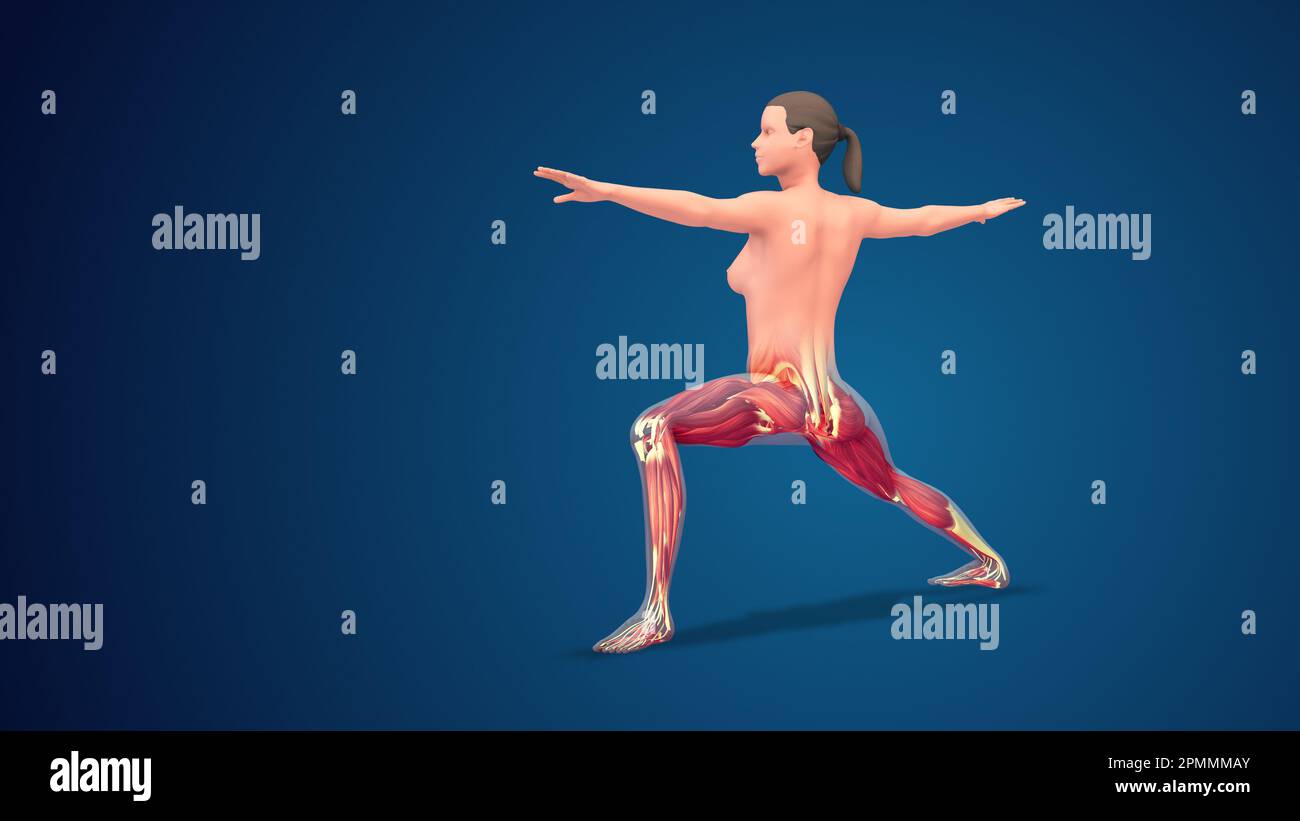 3D Virabhadrasana II umana variazione estesa guerriero yoga posa su sfondo blu Foto Stock