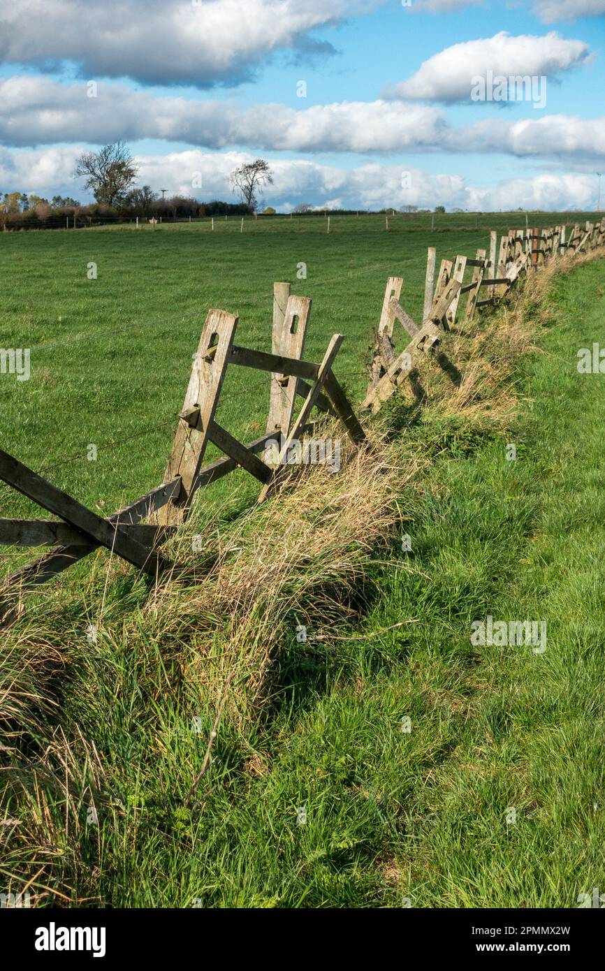 Vecchio marcio, fatiscente, rotto, abbattuto, palo di legno e recinzione ferroviaria da campo di fattoria, Inghilterra, Regno Unito Foto Stock