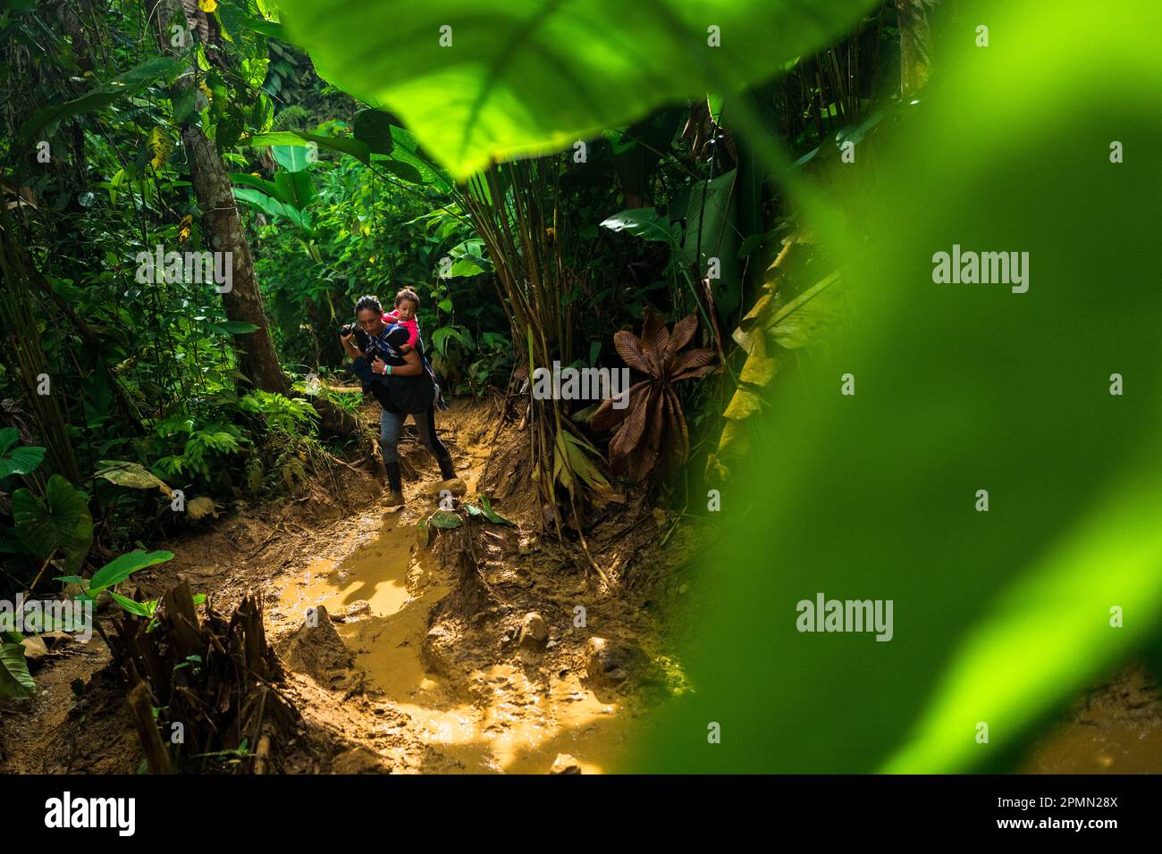 Un immigrato ecuadoriano, che porta il suo bambino, cammina attraverso un sentiero fangoso nella giungla selvaggia e pericolosa del Darién Gap tra Colombia e Panamá. Foto Stock