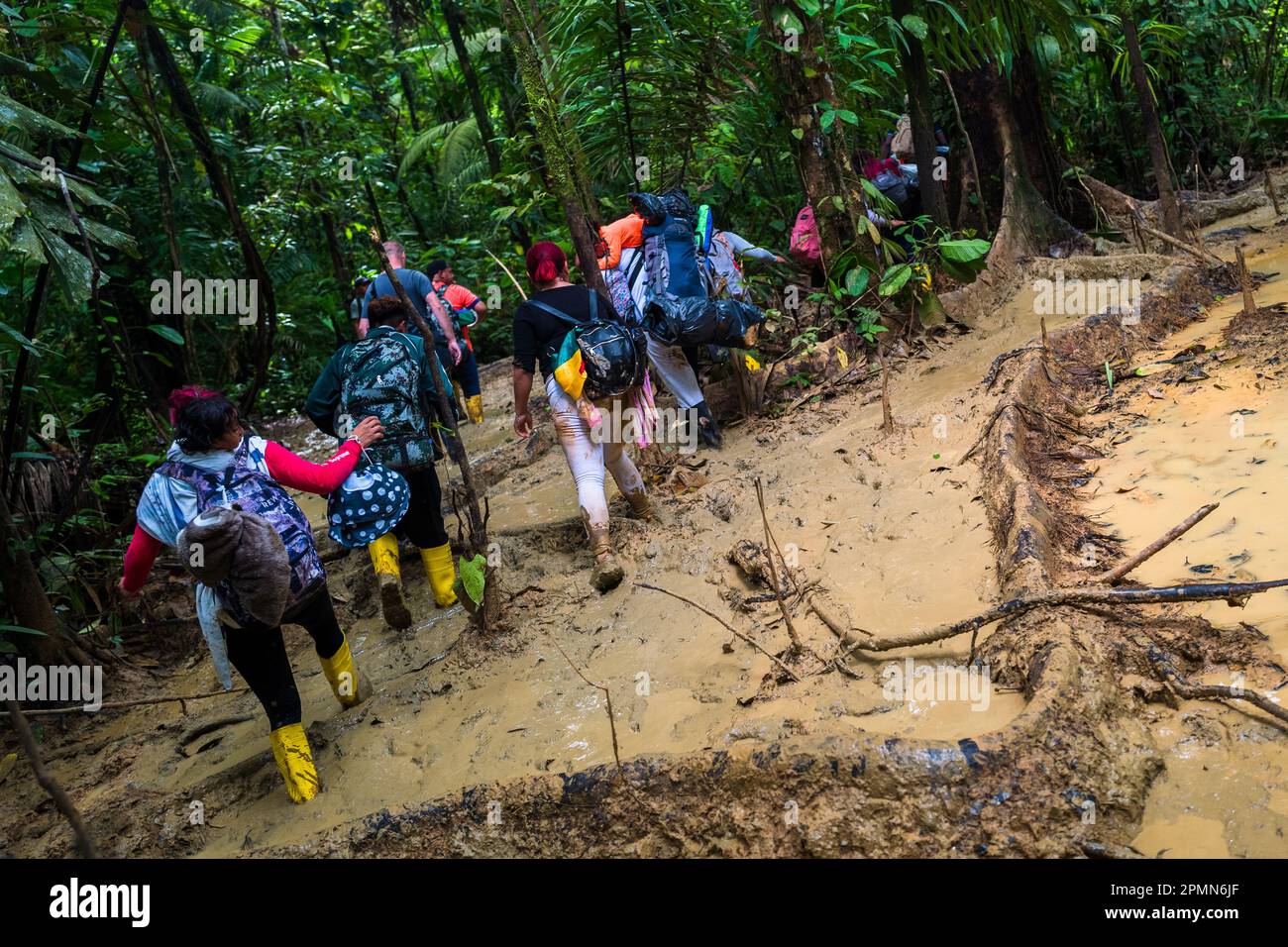 I migranti provenienti da Ecuador, Haiti e Nigeria camminano attraverso un sentiero fangoso nella giungla selvaggia e pericolosa del Darién Gap tra Colombia e Panamá. Foto Stock