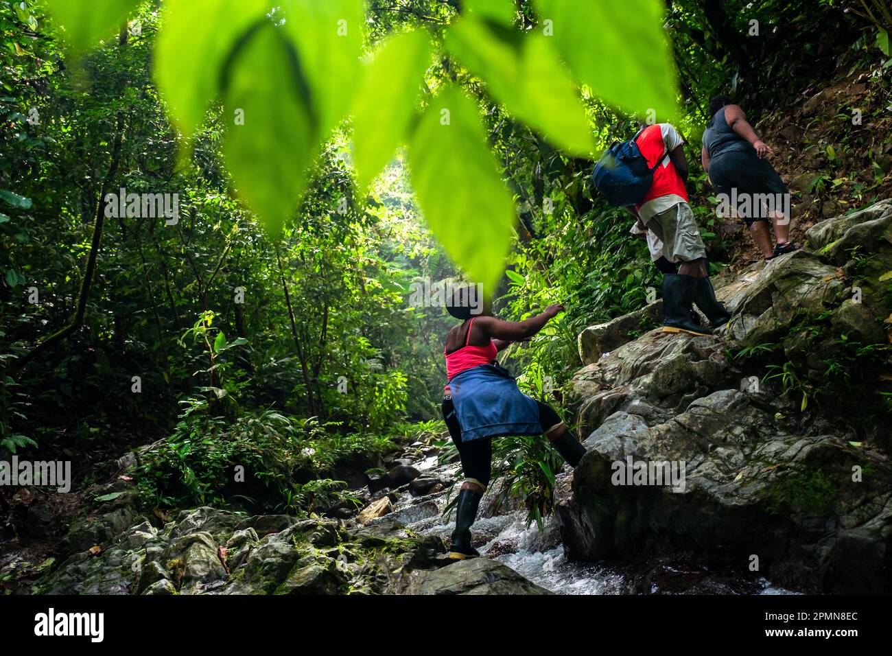 I migranti provenienti da Haiti attraversano un ruscello mentre si arrampicano su un sentiero roccioso nella selvaggia e pericolosa giungla del Darién Gap tra Colombia e Panamá. Foto Stock