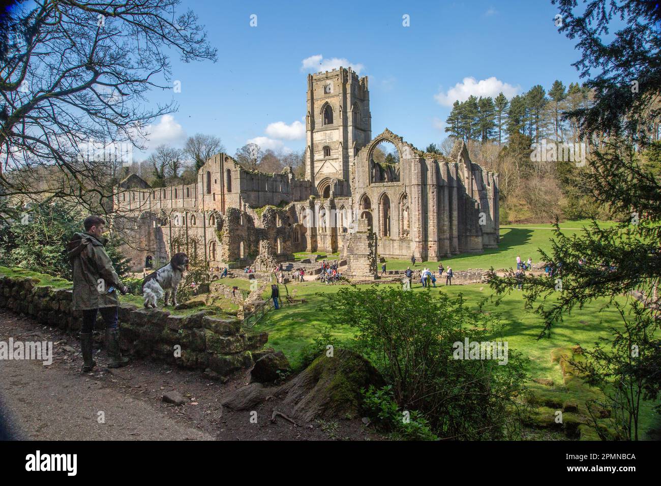 Fontane Abbey i resti di un monastero cistercense ora una proprietà di proprietà del National Trust vicino alla città settentrionale dello Yorkshire di Ripon Foto Stock