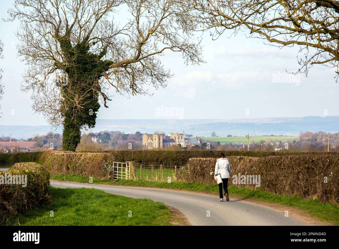 Donna che cammina lungo una corsia di campagna sopra la città di Ripon North Yorkshire con una vista della cattedrale in lontananza Foto Stock