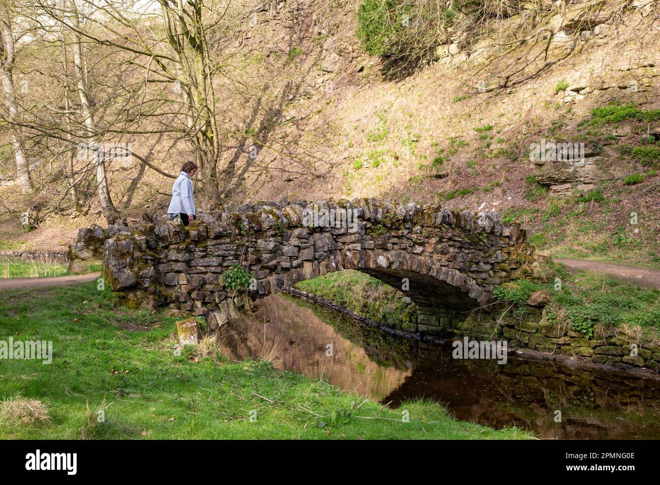 La Seven Bridges Valley cammina per una passeggiata panoramica all'interno dei giardini di Royal Studley e dell'Abbazia di Fountains vicino a Ripon, nel North Yorkshire England Foto Stock