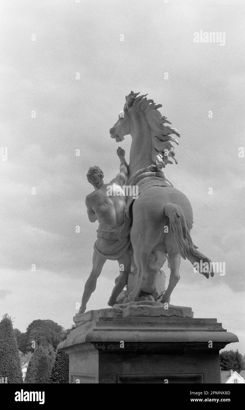 'LES CHEVAUX DE MARLY' - CAVALLI DI MARLY DI GUILLAUME COUSTOU 1745 - ABREUVOIR DU CHATEAU DE MARLY LE ROI YVELINES VICINO A PARIGI FRANCIA - IMMAGINE D'ARGENTO © FOTOGRAFIA: FRÉDÉRIC BEAUMONT Foto Stock