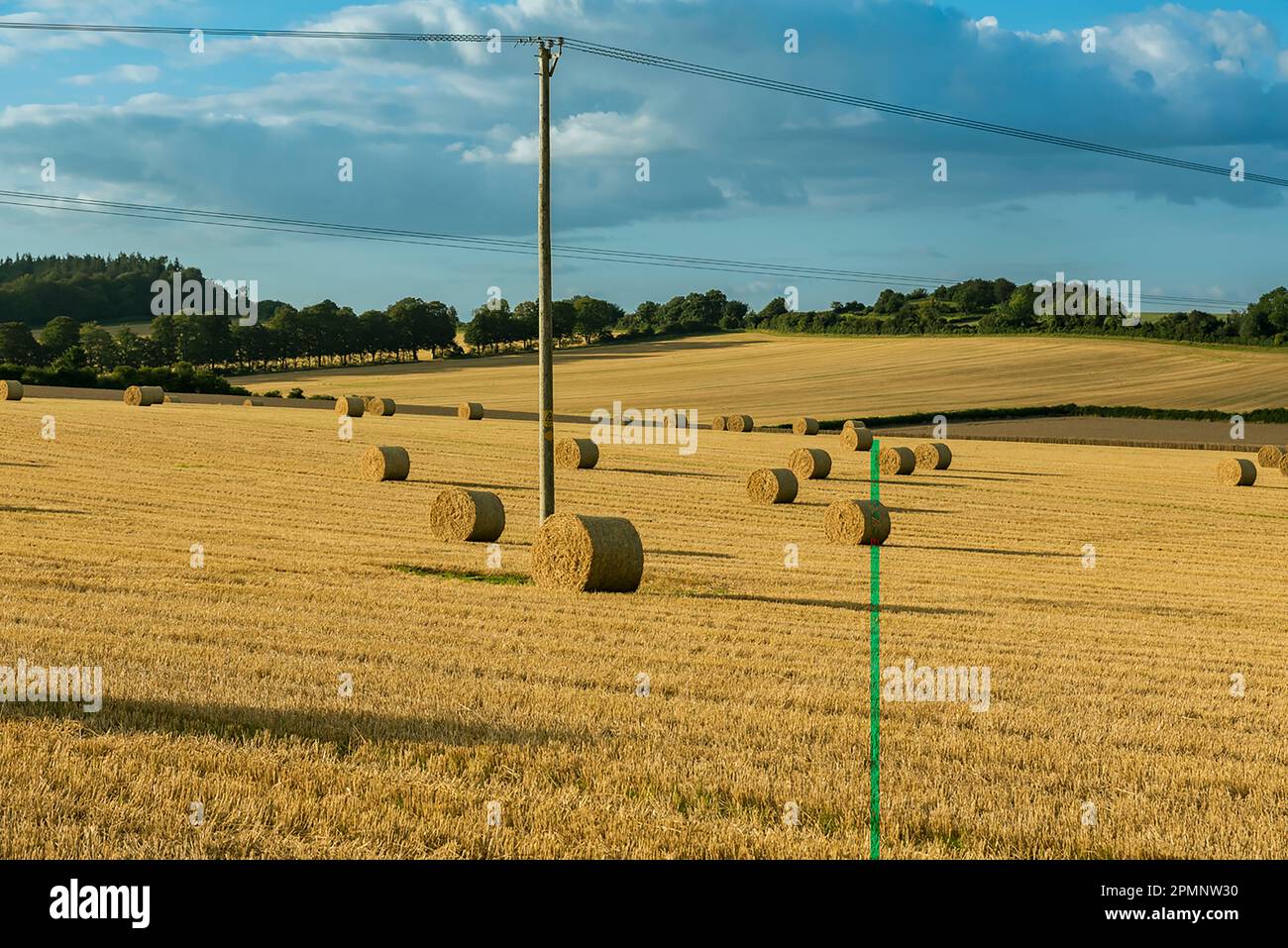 Vista panoramica delle balle di paglia arrotolate che punteggiano i campi dorati intorno a Rockbourne, vicino a Salisbury, con pali di utilità, sotto un cielo nuvoloso e blu Foto Stock