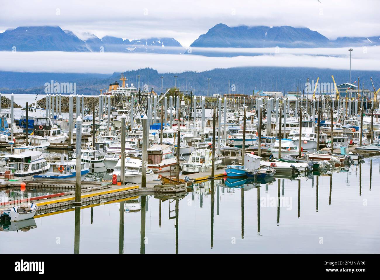 Marina presso il porto di Homer nella penisola di Kenai, Alaska, USA; Homer, Alaska, Stati Uniti d'America Foto Stock