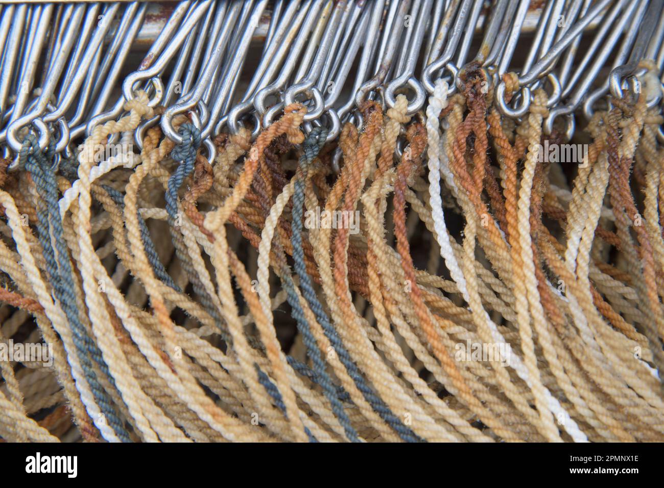 Dettaglio ravvicinato degli ami dei palangari per la pesca del merluzzo bianco; Islanda Foto Stock