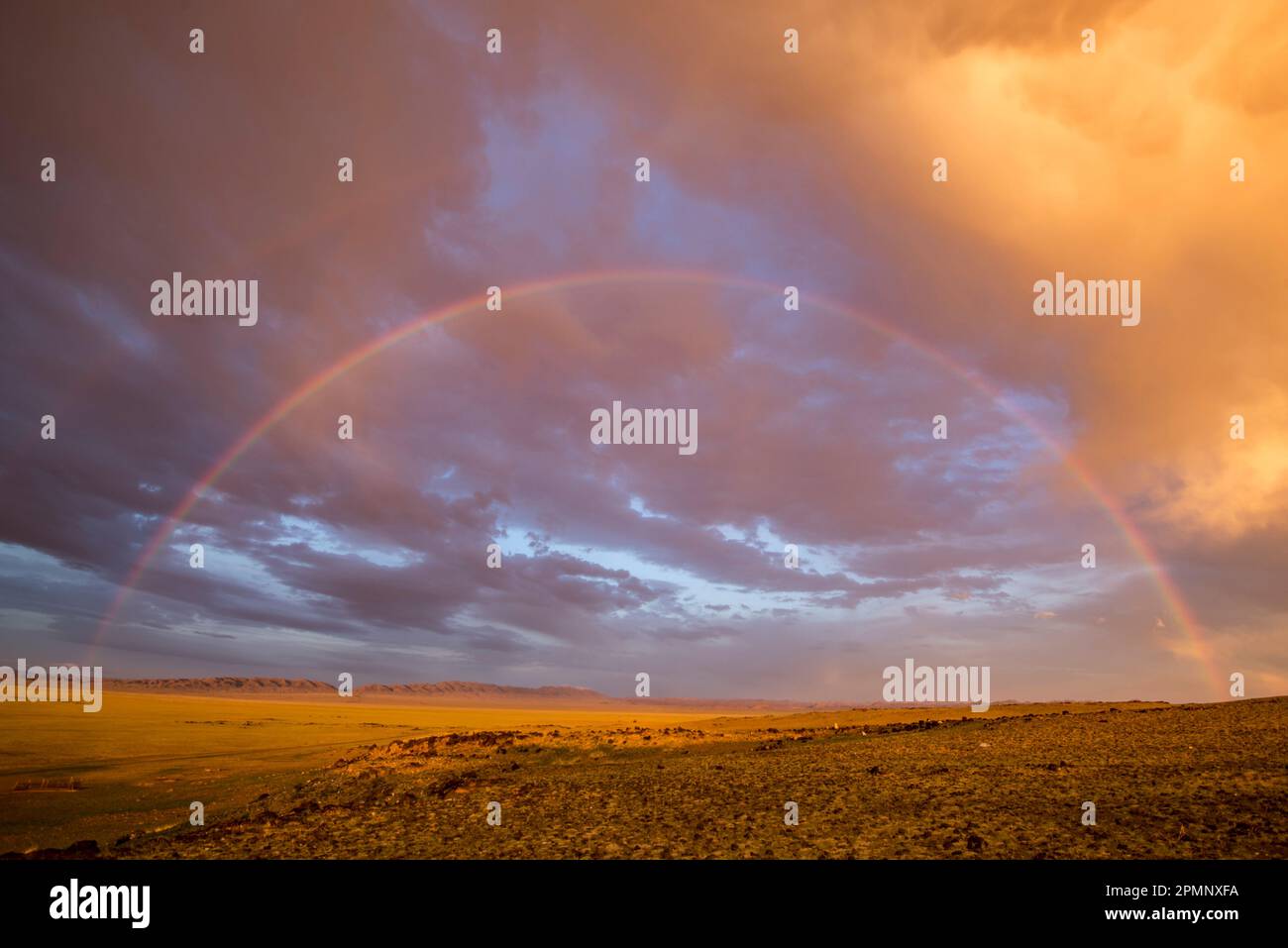 Arcobaleno che segue la pioggia sulle pianure del deserto del Gobi; deserto del Gobi, Mongolia Foto Stock