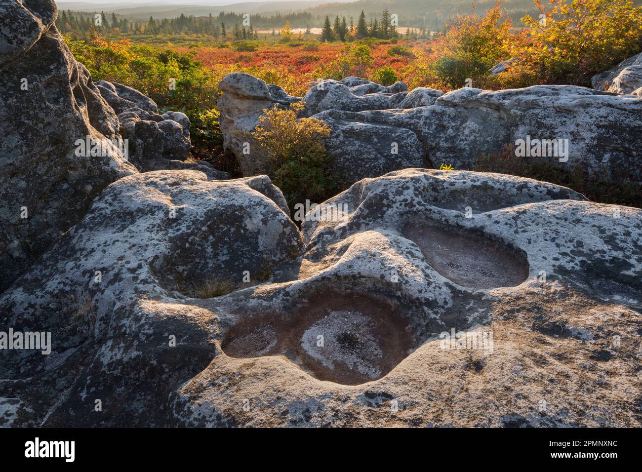 Tramonto nelle Highlands della zona di Dolly Sods Wilderness, West Virginia, USA; Davis, West Virginia, Stati Uniti d'America Foto Stock