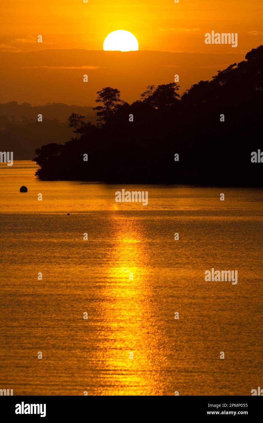 Alba dorata sull'isola di Barro Colorado nel lago Gatun del Canale di Panama; Panama Foto Stock