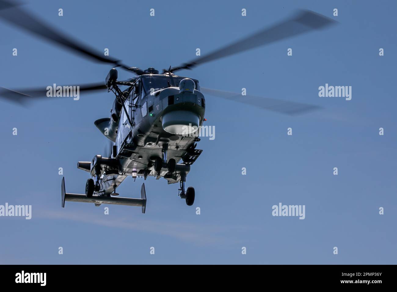 Royal Navy Wildcat HMA2 elicottero di 815 Naval Air Squadron che fornisce gli elicotteri (piccole navi voli) per fregate e cacciatorpediniere Foto Stock
