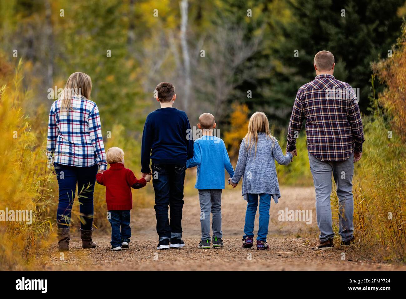 Famiglia di sei persone che camminano insieme mano nella mano in un parco in autunno; Edmonton, Alberta, Canada Foto Stock