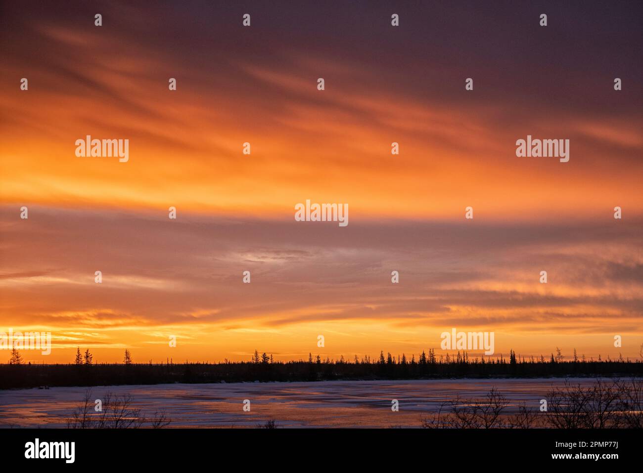 Alba sulla foresta boreale e sul lago ghiacciato lungo la costa della Baia di Hudson, Manitoba, Canada; Churchill, Manitoba, Canada Foto Stock