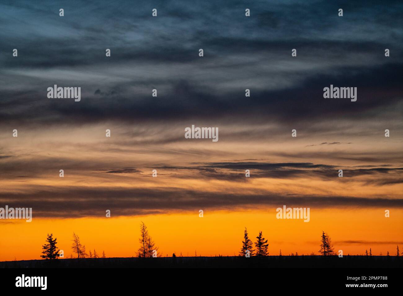 Alba sulla foresta boreale e sul lago ghiacciato lungo la costa della Baia di Hudson, Manitoba, Canada; Churchill, Manitoba, Canada Foto Stock