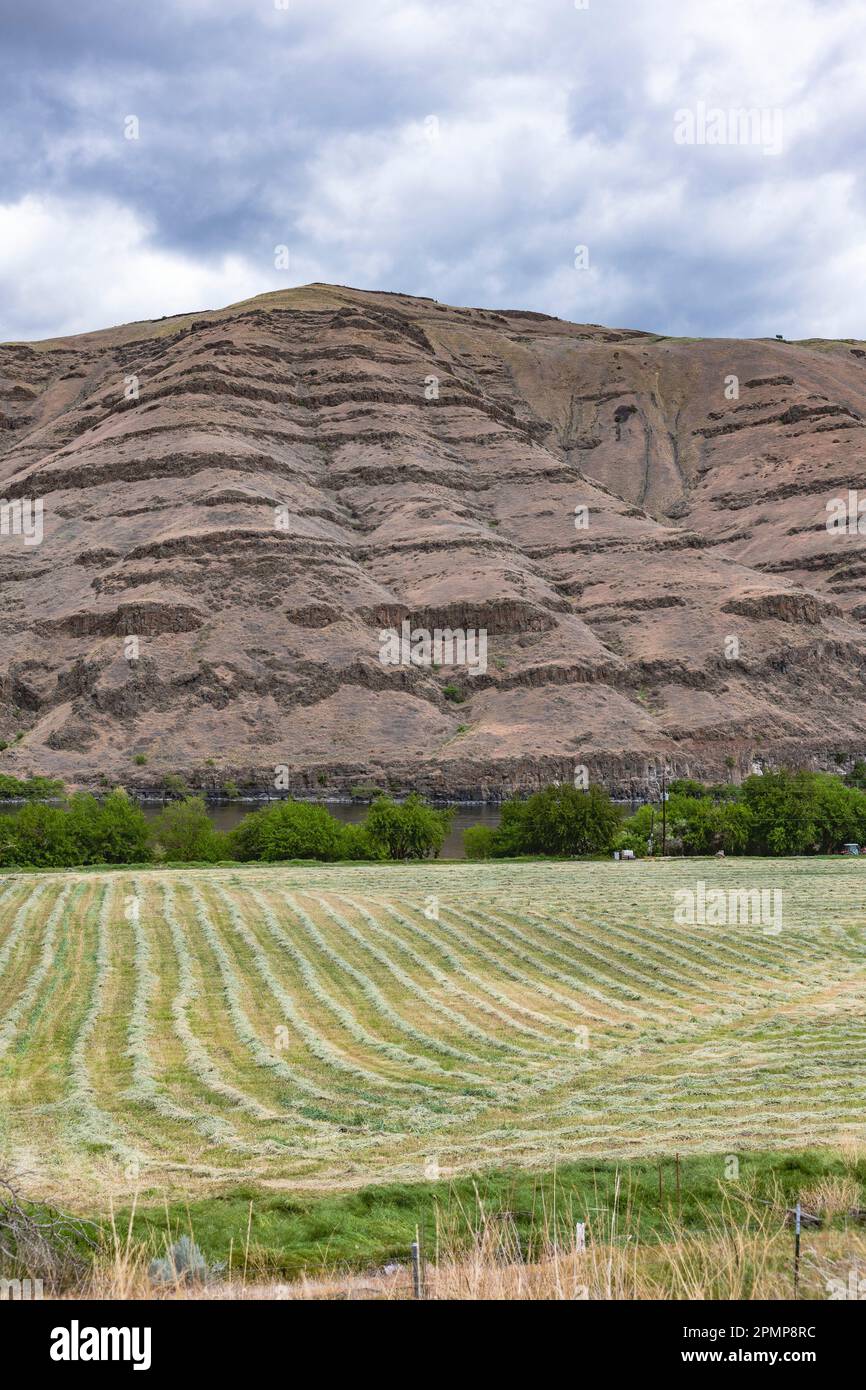 Campo tagliato fresco visto dal lato Washington del fiume Snake che guarda al lato Idaho, Stati Uniti; Asotin, Washington, Stati Uniti d'America Foto Stock