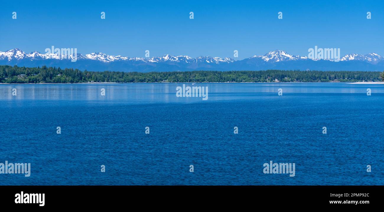 Olympic Mountains, viste in una giornata estiva limpida a circa 45 km dal centro di Budd Inlet nello stretto di Puget vicino a Olympia, Washington, Stati Uniti Foto Stock