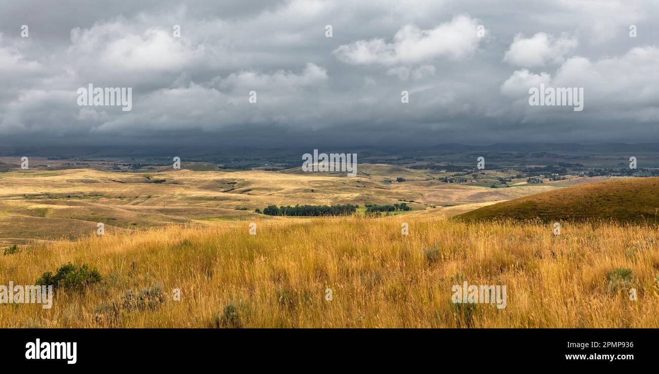 Vista delle colline ondulate e del clima minaccioso dal Bozeman Trail. Esci dalla i-90 vicino a Sheridan, Wyoming, Stati Uniti d'America Foto Stock