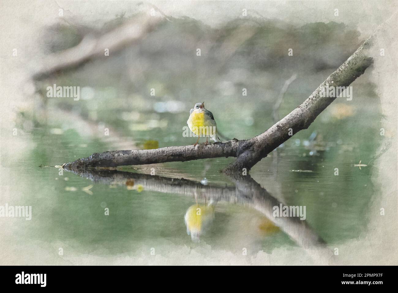 Una pittura digitale di acquerello di un Wagtail grigio, Motacilla cinerea su un ramo d'albero nell'acqua con riflessione nel Regno Unito. Foto Stock