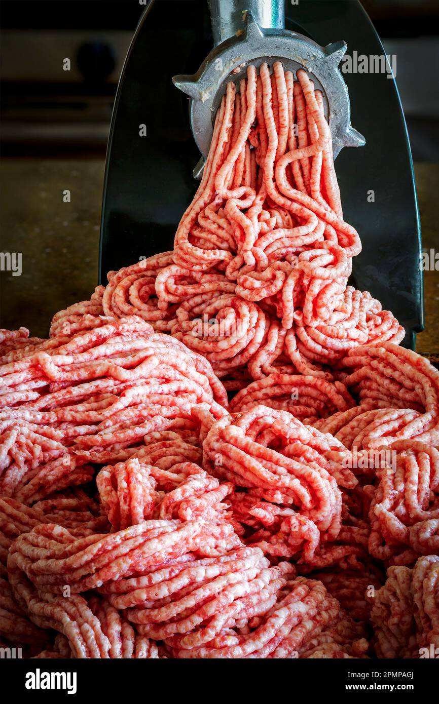 Primo piano della carne proveniente da un macinacaffè; Calgary, Alberta, Canada Foto Stock