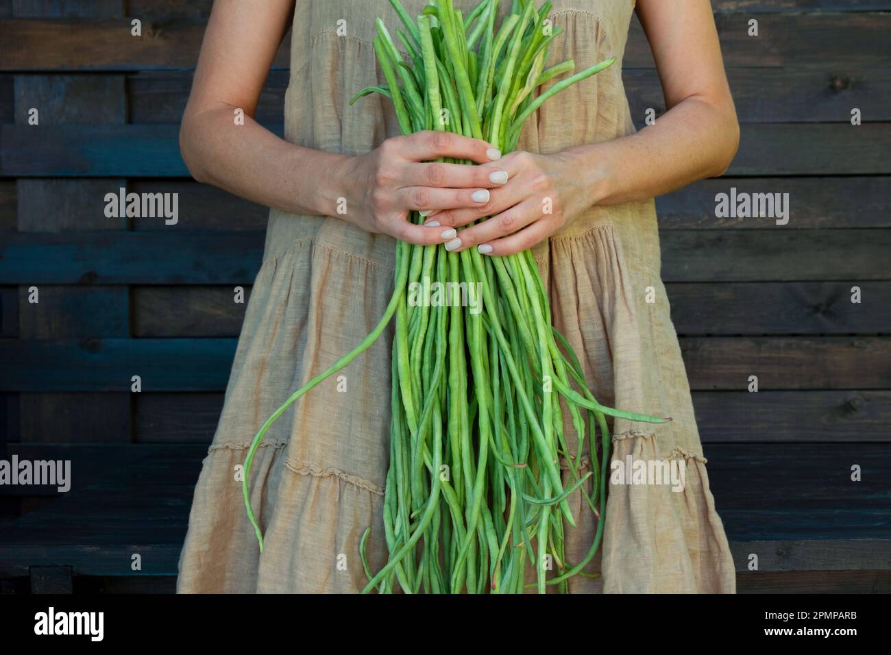 Concetto eco-friendly con verdure agricole biologiche nelle mani di una ragazza in un abito di lino in tessuto naturale. Fagiolini freschi crudi. Lif. Misurato azienda agricola Foto Stock