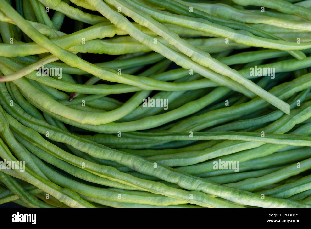 Fagiolini di asparagi. cowpea. Cibo vegetariano ecologico naturale. Sfondo naturale full frame Foto Stock