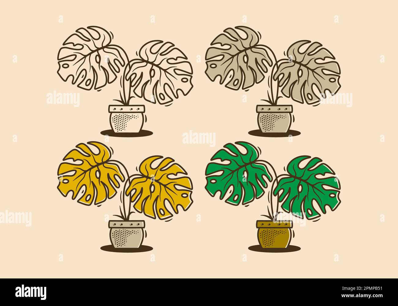 Pianta verde di Monstera deliziosa con disegno illustrativo a due grandi foglie Illustrazione Vettoriale