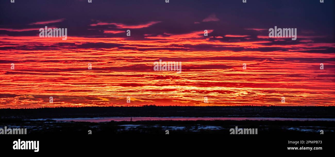 Tramonto brillante sulla foresta boreale di Manitoba, Canada; Churchill, Manitoba, Canada Foto Stock