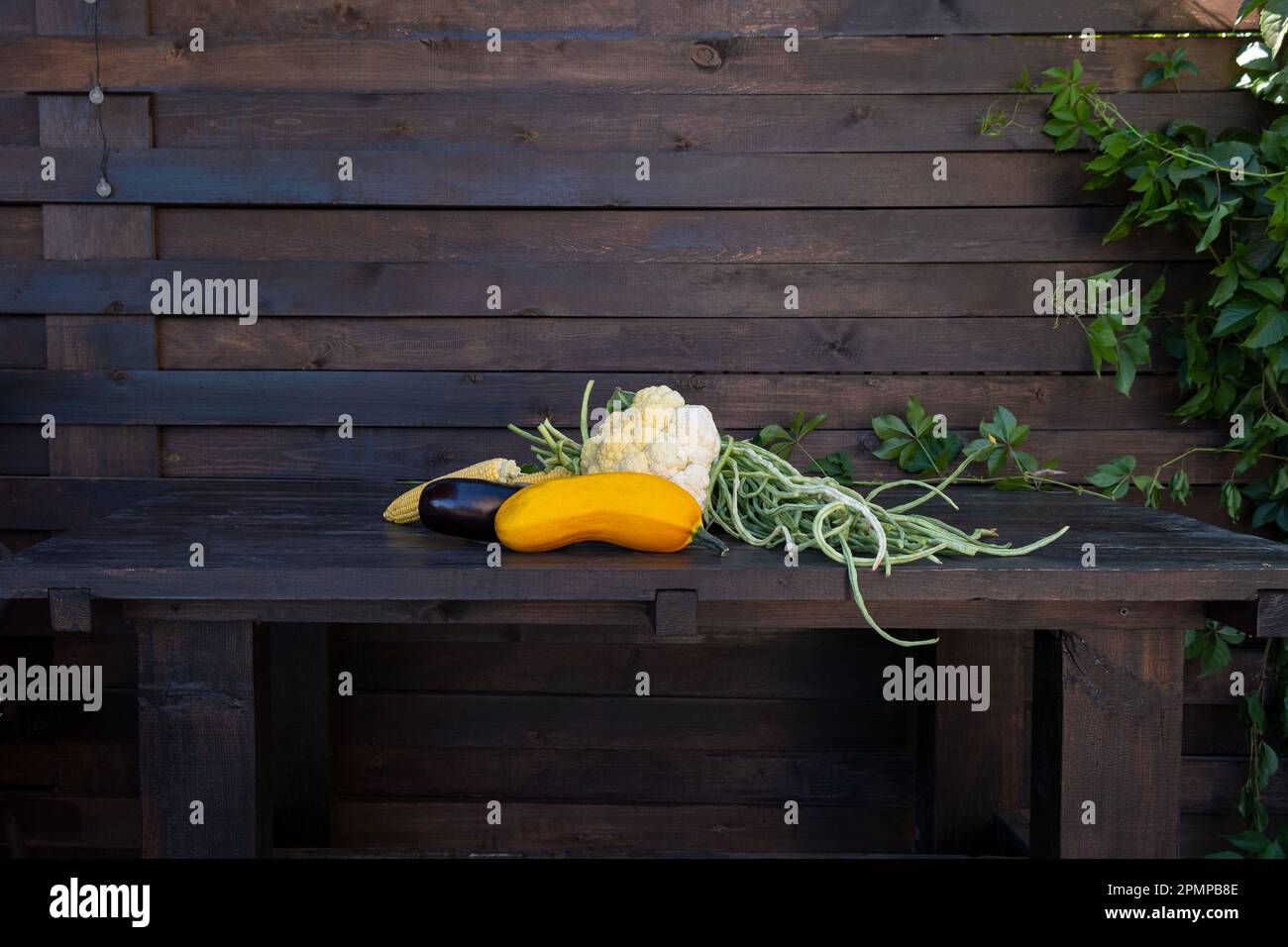 Verdure biologiche di fattoria su un tavolo di legno scuro. Cavolfiore crudo fresco, fagiolini, zucchine, mais, barbabietole. Fattoria vita misurata in natura Foto Stock