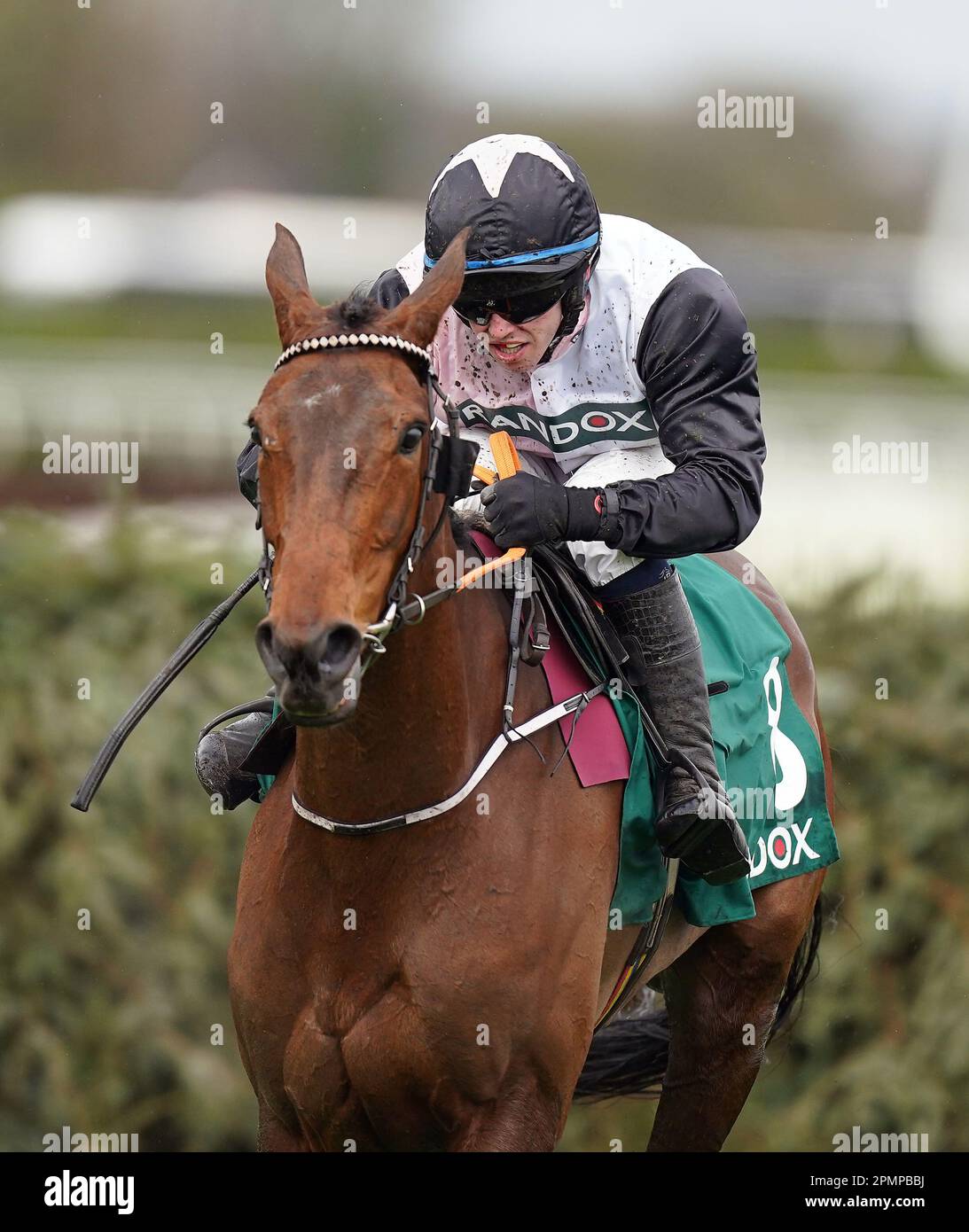 Gin on Lime guidato dal jockey Darragh o'Keeffe durante il Randox sostiene Race Against Dementia Topham handicap Chase il secondo giorno del Randox Grand National Festival all'Aintree Racecourse di Liverpool. Data immagine: Venerdì 14 aprile 2023. Foto Stock