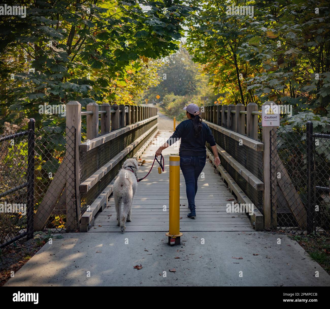 Donna che cammina il suo cane in un parco; Vancouver Island, British Columbia, Canada Foto Stock