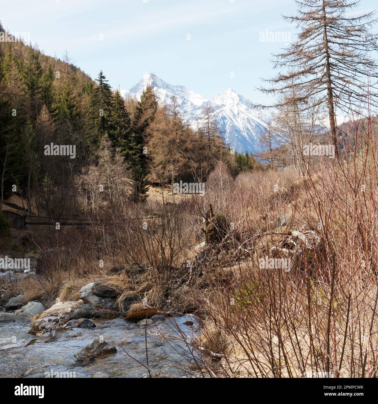 Ruscello con rocce circondate da foreste con montagne innevate alle spalle. Vicino al paese di Lignan in Valle d'Aosta Foto Stock