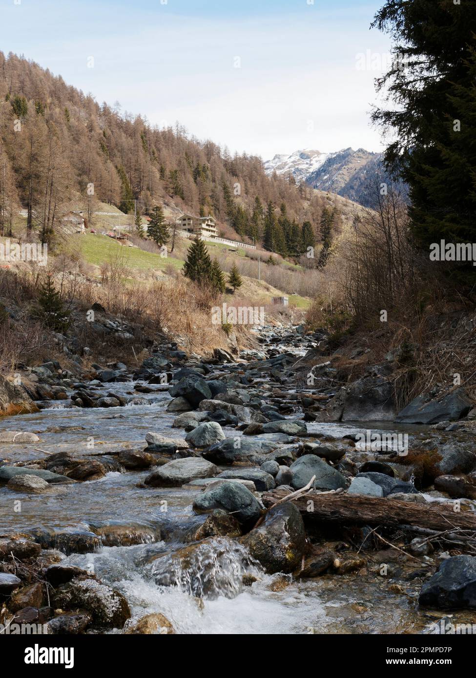 Ruscello con rocce circondate dalla foresta. Vicino al paese di Lignan in Valle d'Aosta Foto Stock