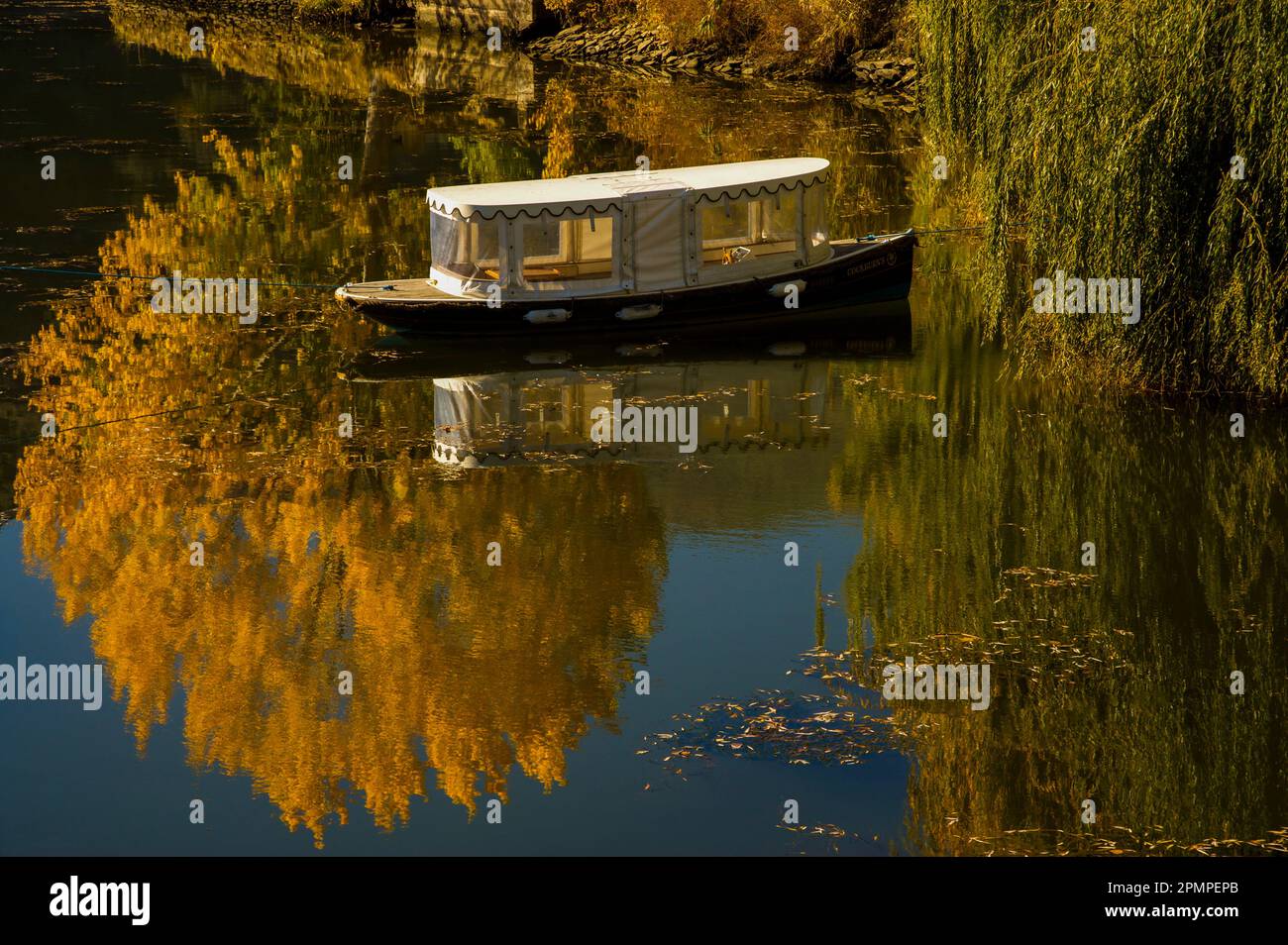 Barca con baldacchino e alberi che si riflettono nel fiume Douro in autunno; Portogallo Foto Stock