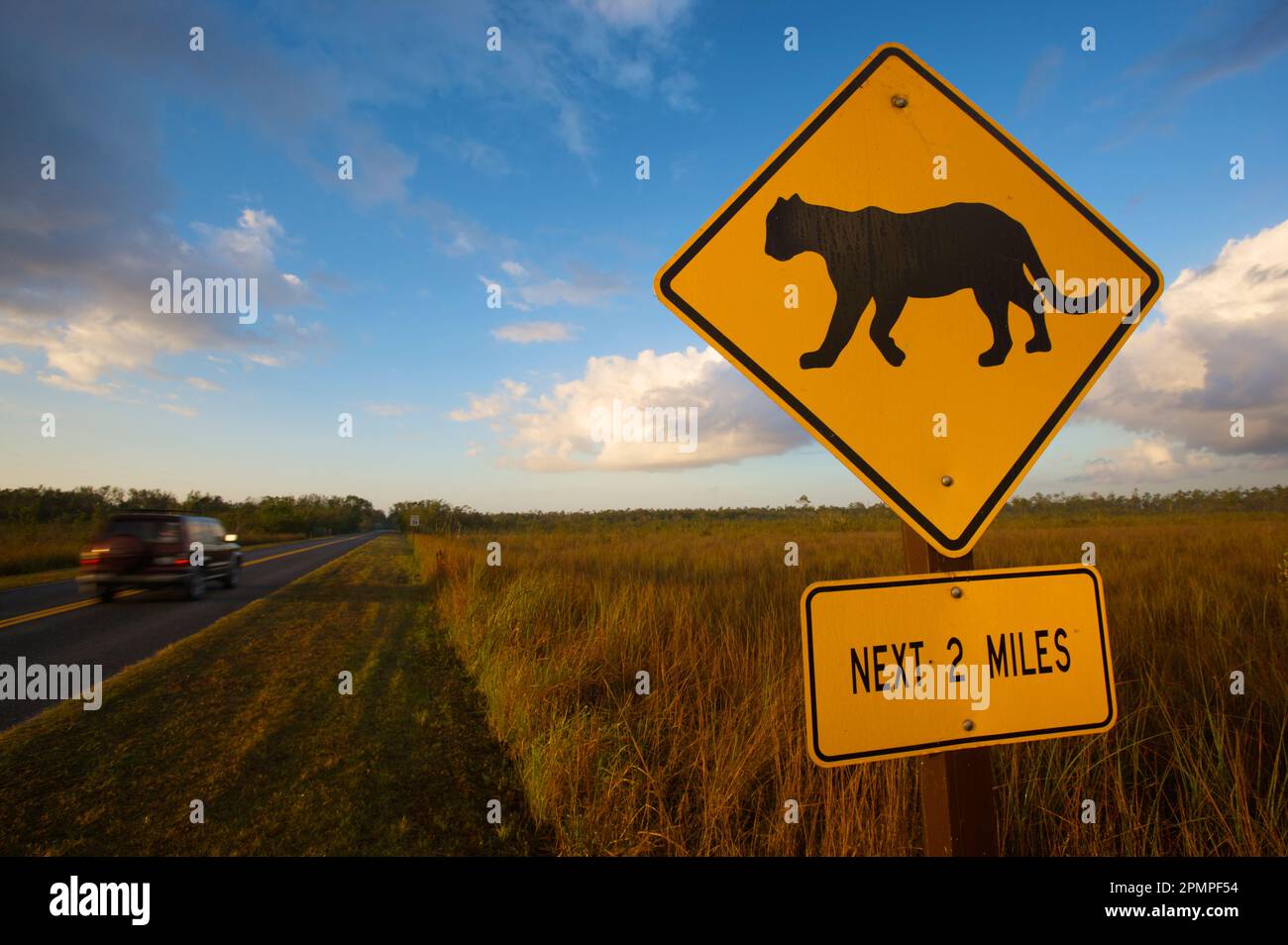 Cartello di attraversamento Panther all'Everglades National Park, Florida, Stati Uniti d'America; Florida, Stati Uniti d'America Foto Stock