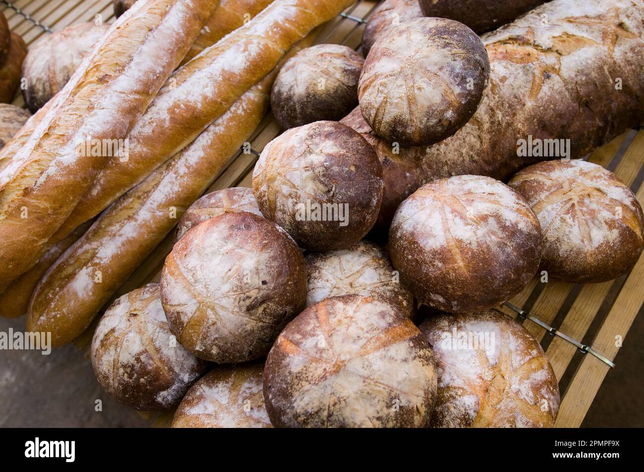 Pane appena sfornato in un mercato locale: Collioure, Pyrenees Orientales, Francia Foto Stock