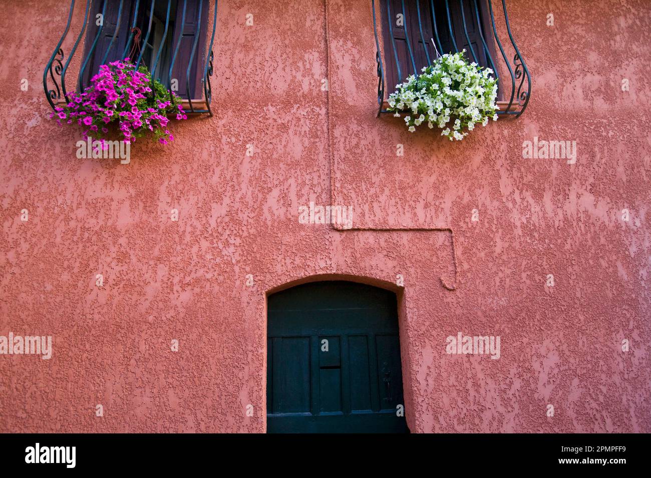 Edifici residenziali a Collioure; Collioure, Pyrenees Orientales, Francia Foto Stock