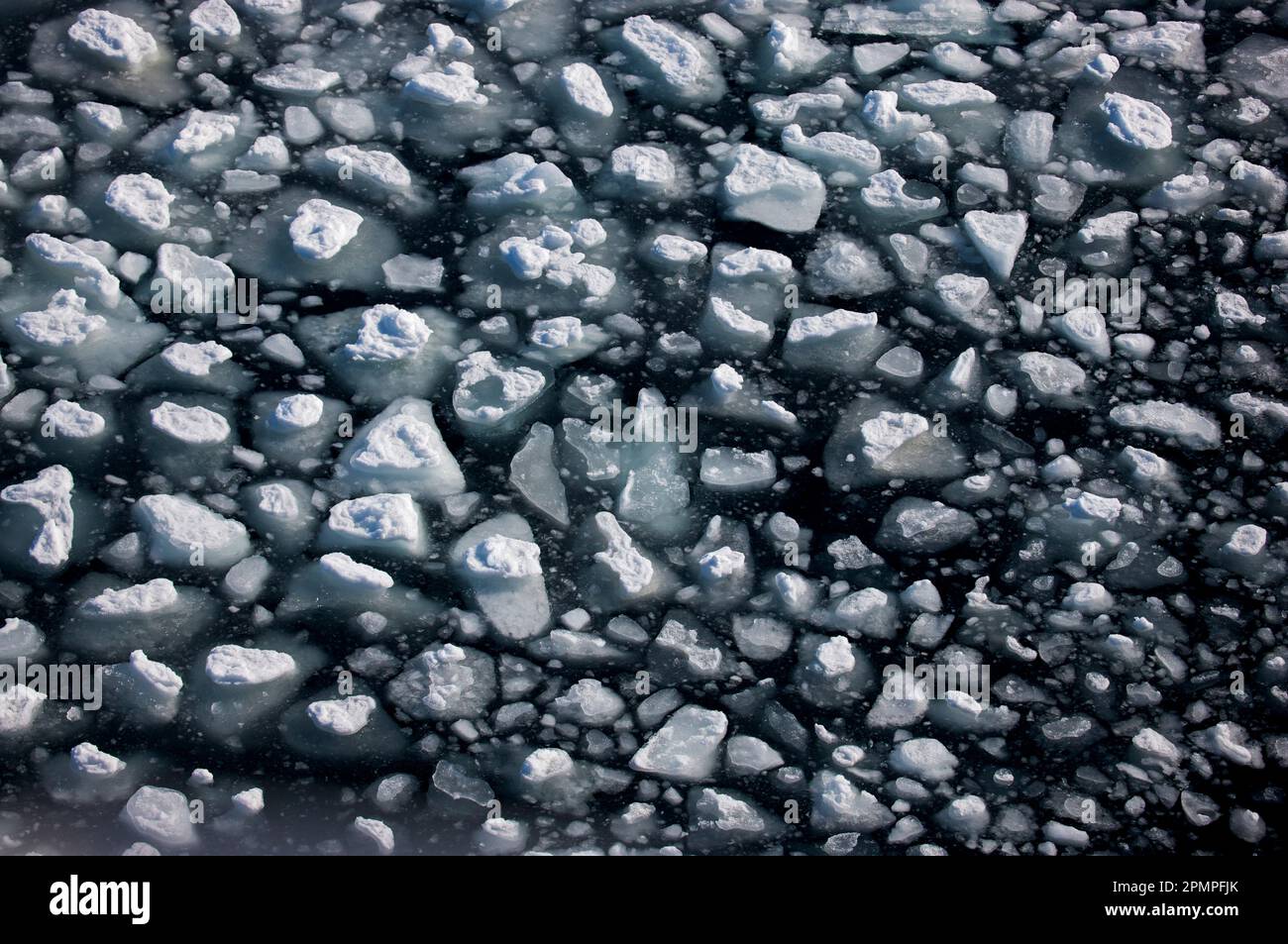 Piccoli pezzi di ghiaccio galleggianti in acqua, vicino a Storfjorden, Norvegia; Storfjorden, Norvegia Foto Stock