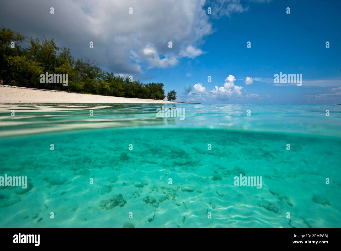 Vista divisa dell'acqua blu e della sabbia bianca nelle Seychelles; Assumption Island, Seychelles Foto Stock