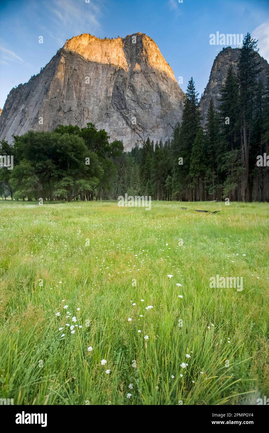 Vista delle rocce della Cattedrale e del prato nel Parco Nazionale di Yosemite, Cathedral Rocks Yosemite Valley, California, USA; California, Stati Uniti d'America Foto Stock