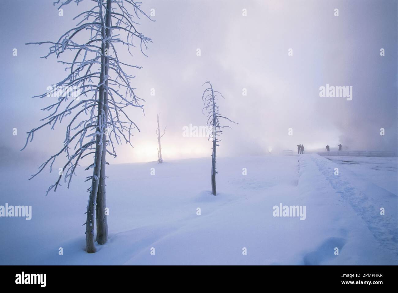 Alba all'Upper Geyser Basin in una fredda mattina, a 22 gradi sotto lo zero di Ferhenheit, Yellowstone National Park, Wyoming, Stati Uniti Foto Stock