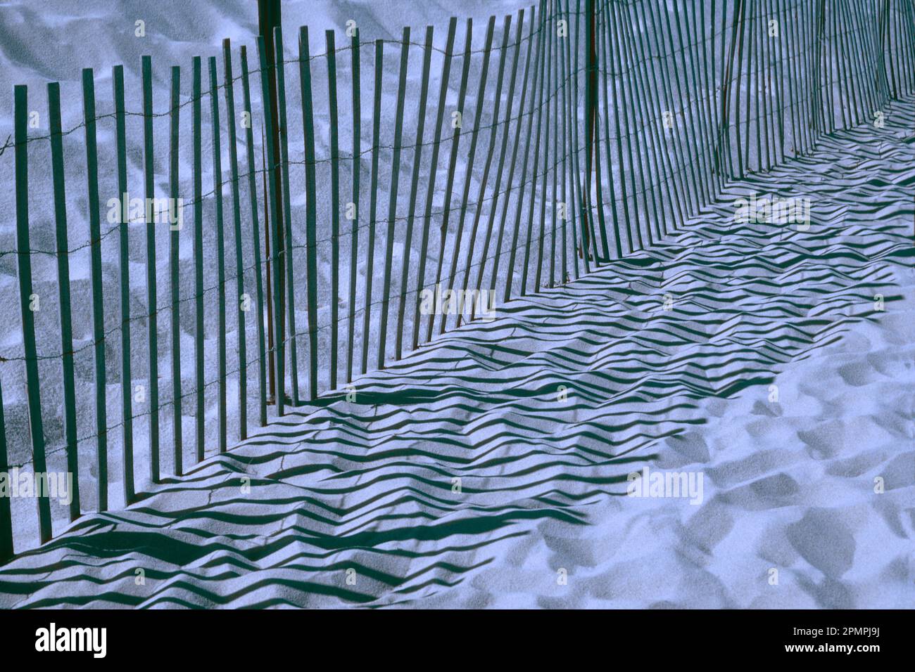 Recinzione di sabbia su una spiaggia e la sua ombra; Nantucket Island, Massachusetts, Stati Uniti d'America Foto Stock