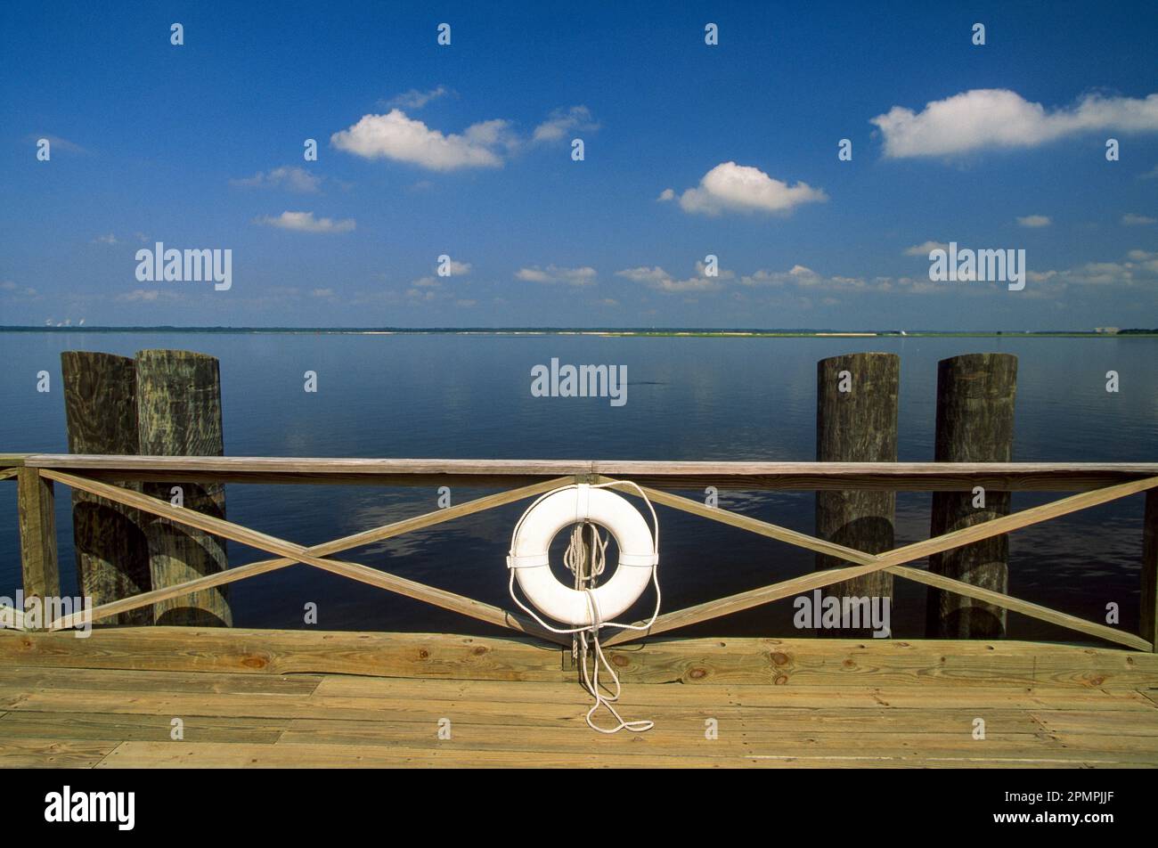 Dispositivo di galleggiamento collegato al molo sulla costa della Georgia, Stati Uniti; Cumberland Island, Sea Islands, Georgia Foto Stock