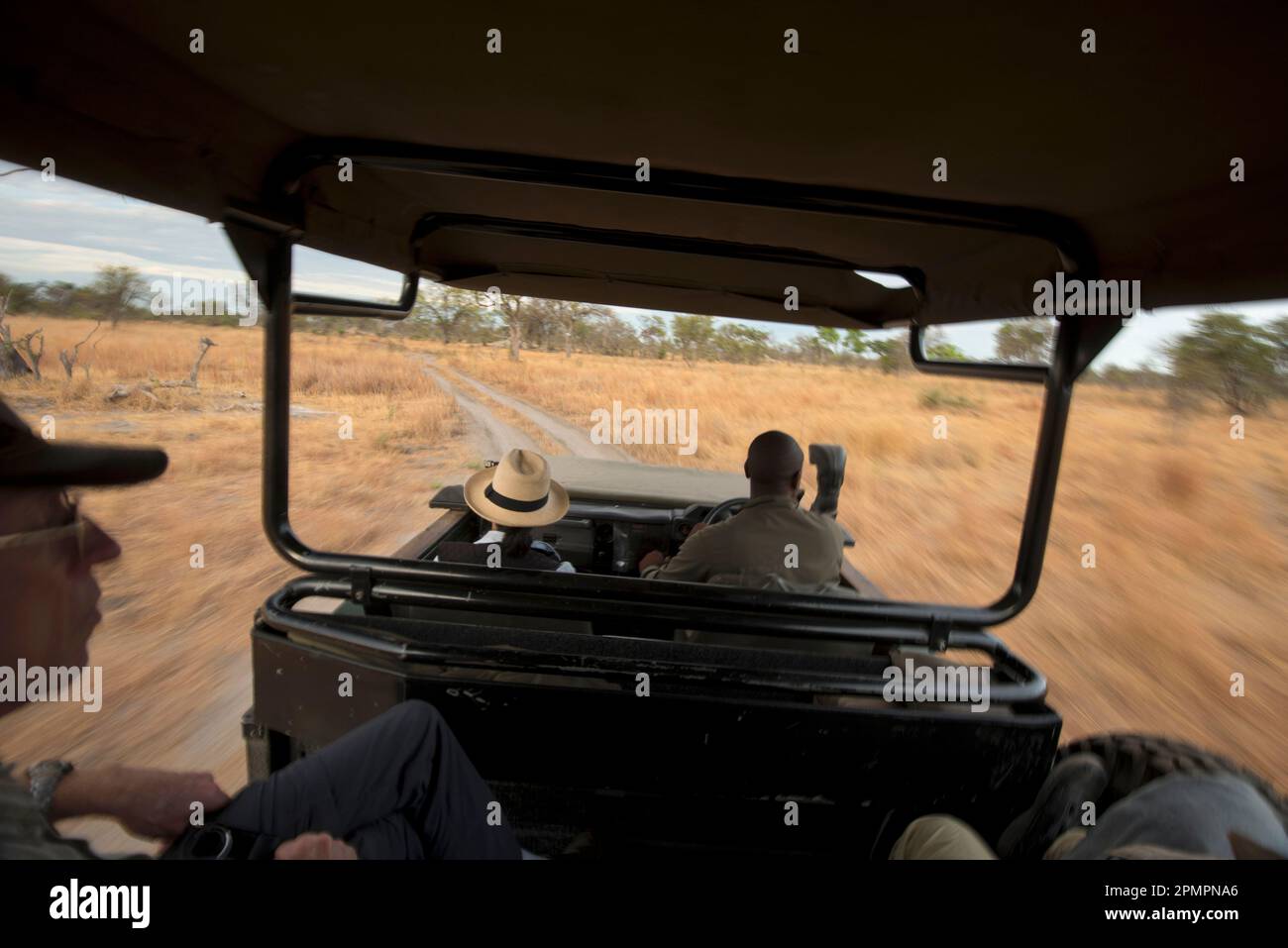Guarda dall'interno di un veicolo da safari mentre attraversa le pianure della riserva di Selinda; Selinda Reserve, Botswana Foto Stock